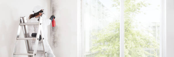 Best Dehumidification Services  in Lake Tansi, TN